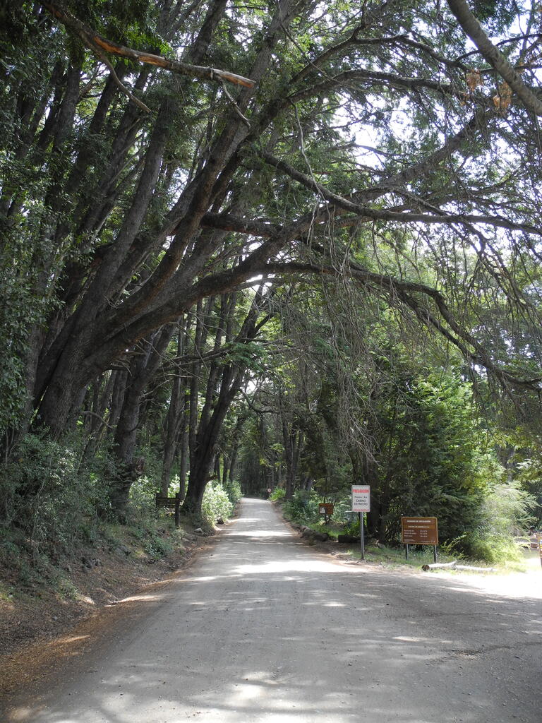Der Beginn der Stra&szlig;e zum Lago Roca
