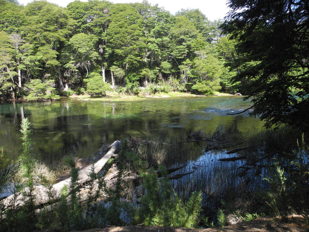 Rio Manso in der N&auml;he des Lago Roca