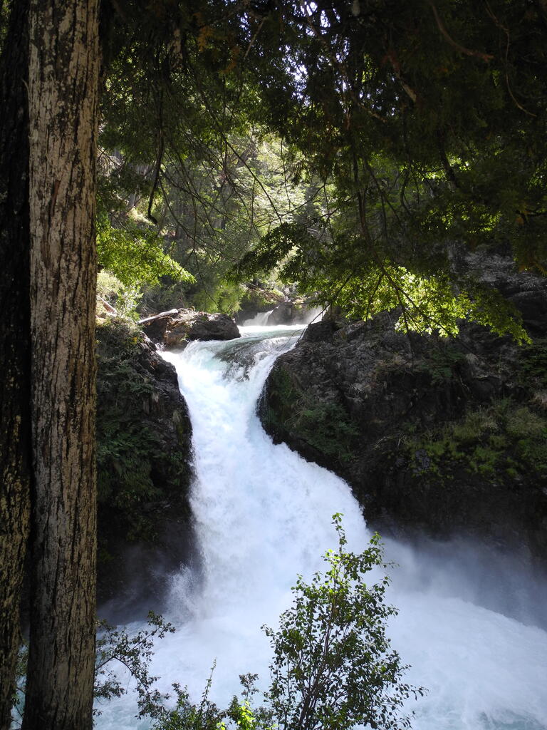 Cascada Los Alerces