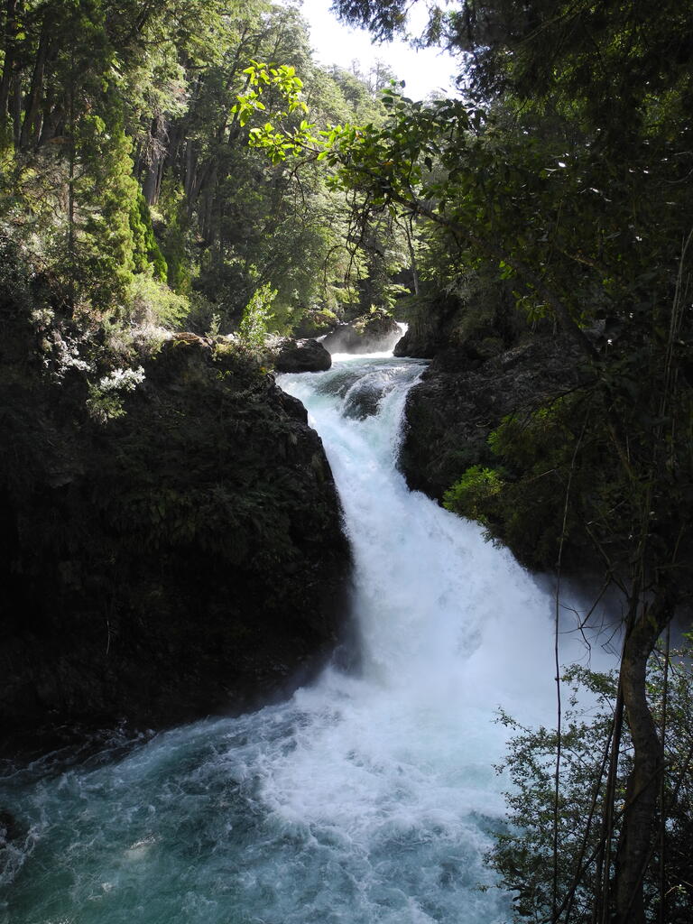 Cascada Los Alerces