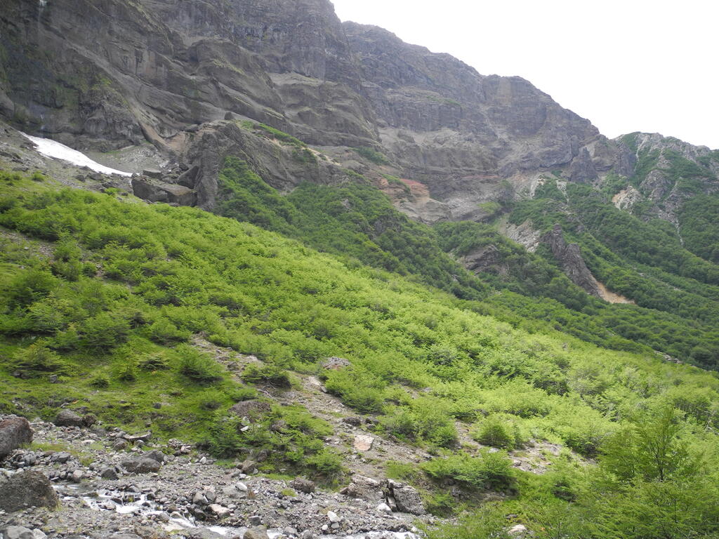 Intrusionsg&auml;nge