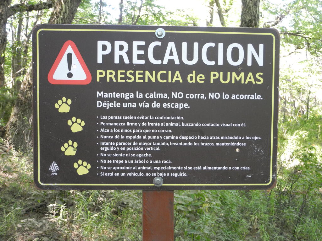 Vorsicht, man k&ouml;nnte zu Katzenfutter werden...