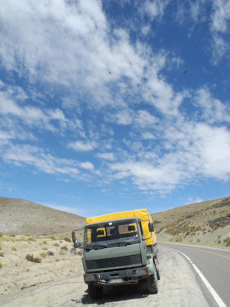 Die Geier kreisen...