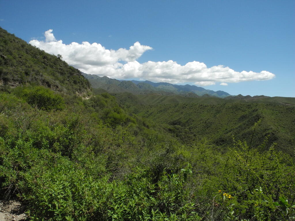 Landschaft an der Vuelta de pique