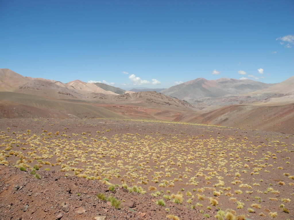 Landschaft zwischen El Pe&ntilde;&oacute;n und Laguna Brava