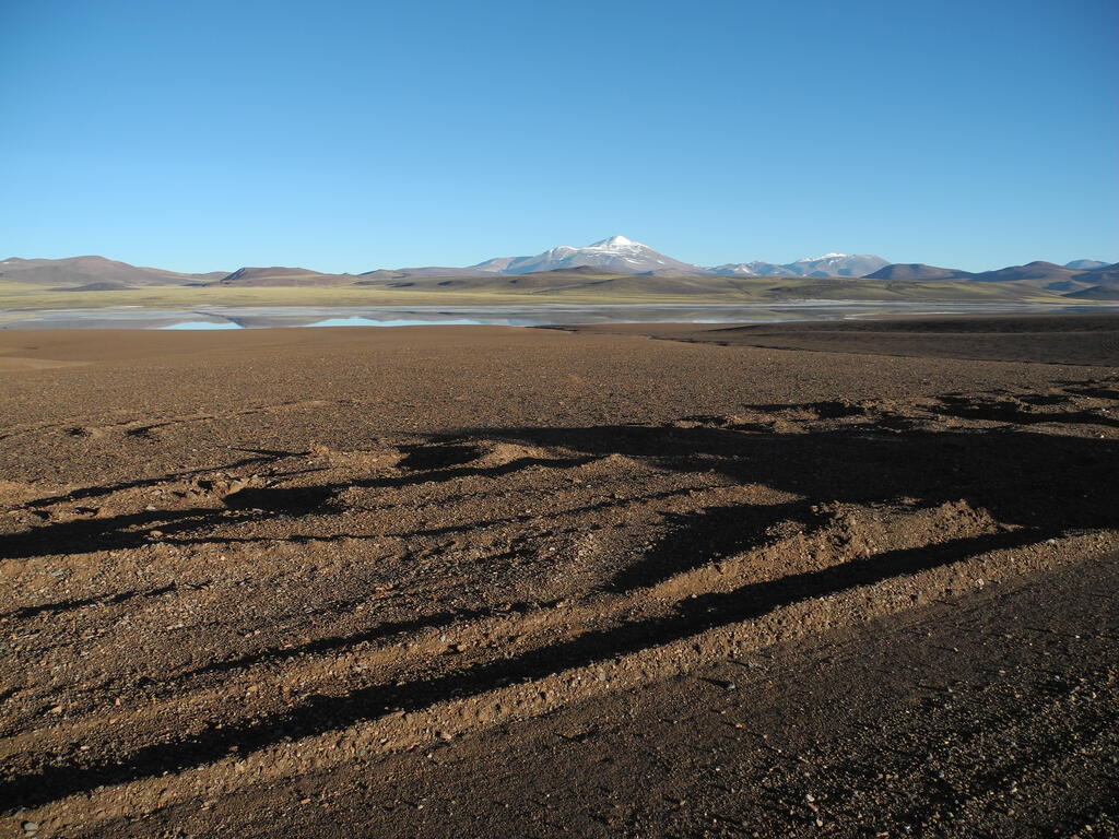 Laguna Brava