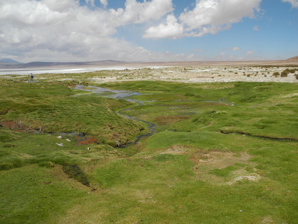 Einer der Zufl&uuml;sse des Salar de Huasco