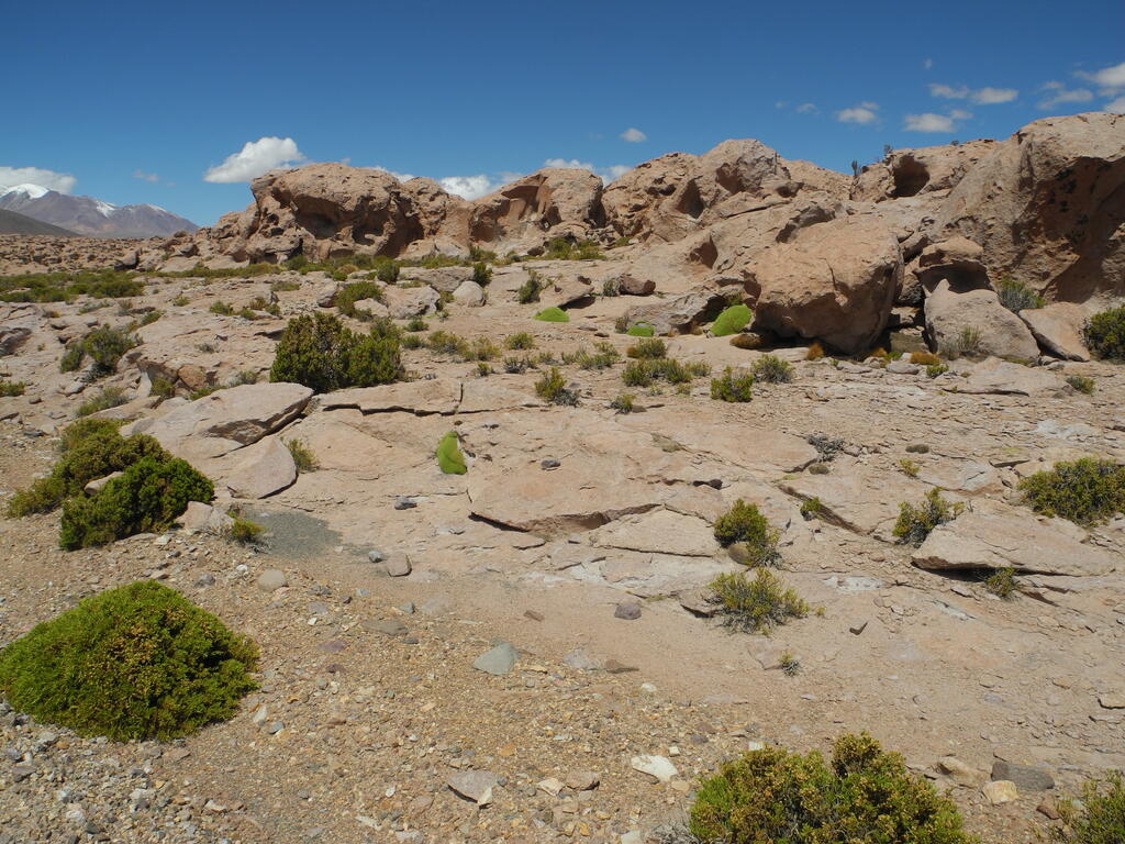 Gesteinsformationen neben der Stra&szlig;e