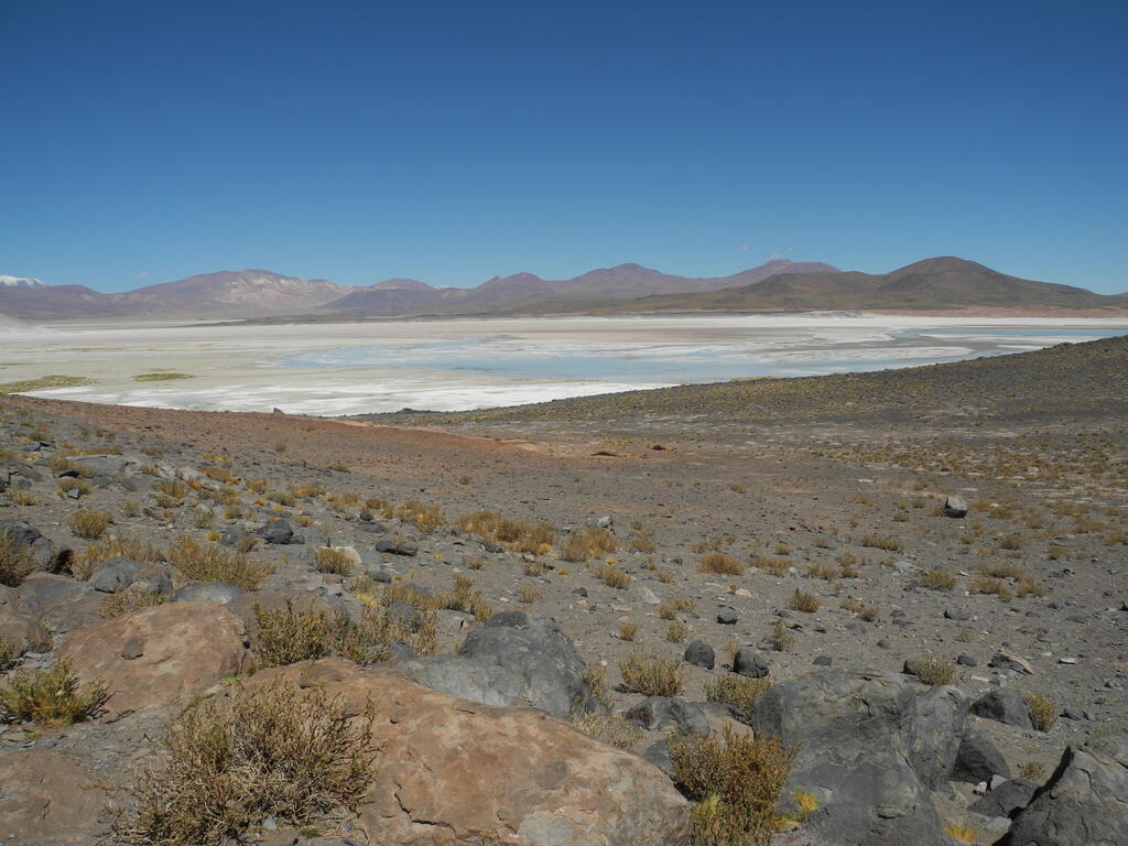Salar Aguas Calientes