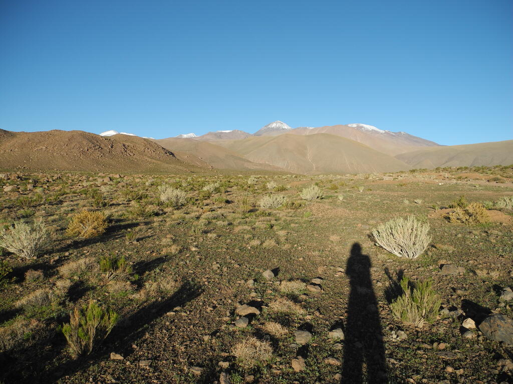 Aussicht auf den Sairecabur am Abend