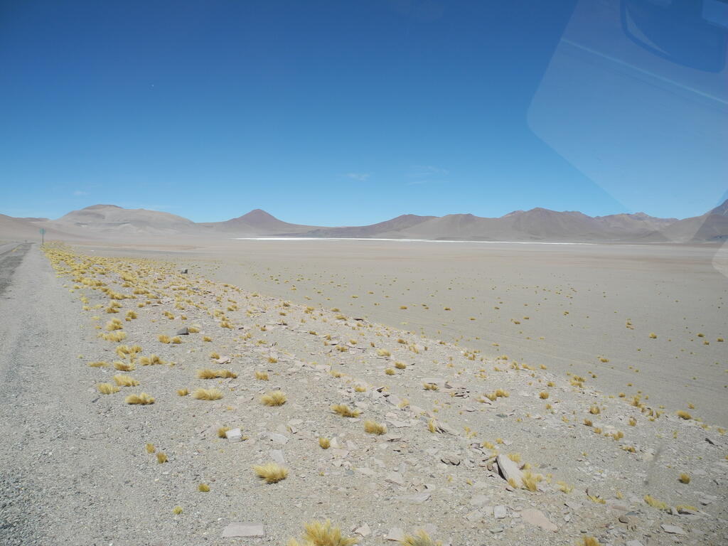 Salar de Pujsa