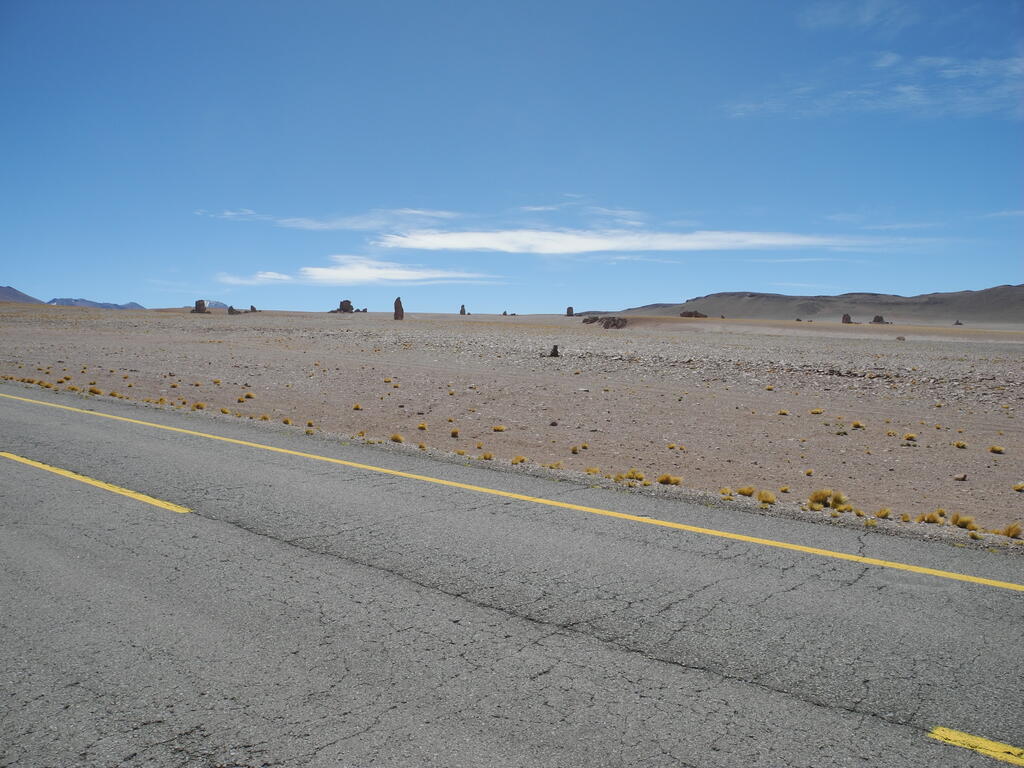 Felsen am Salar de Tara