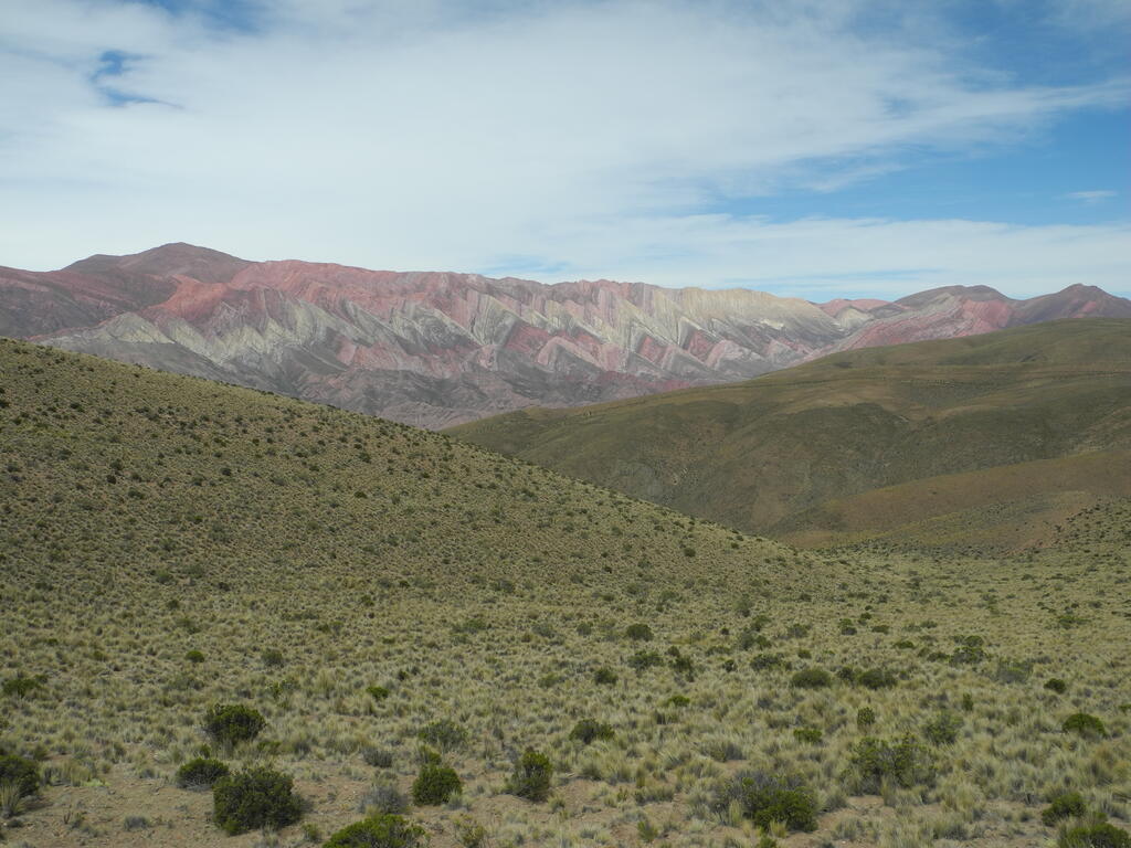Die 14 Farben etwas sp&auml;ter am Tag mit besserem Licht