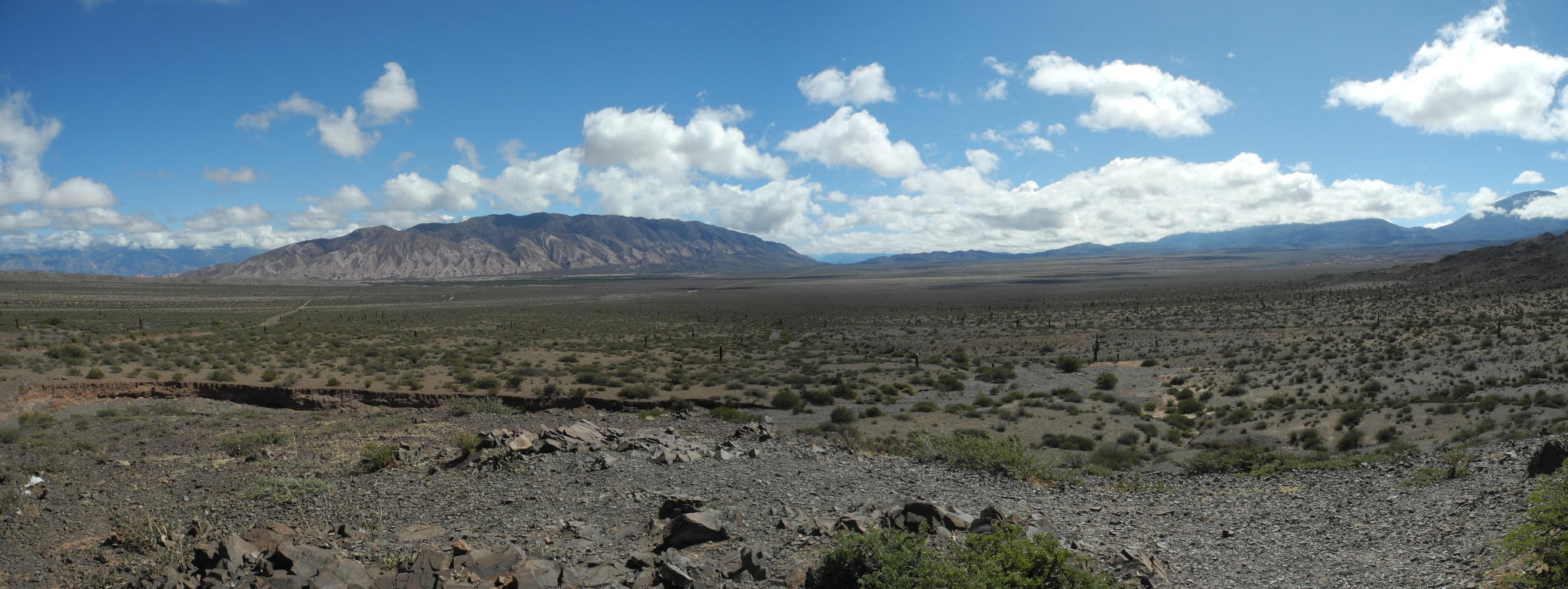 Panorama im Cardones Nationalpark