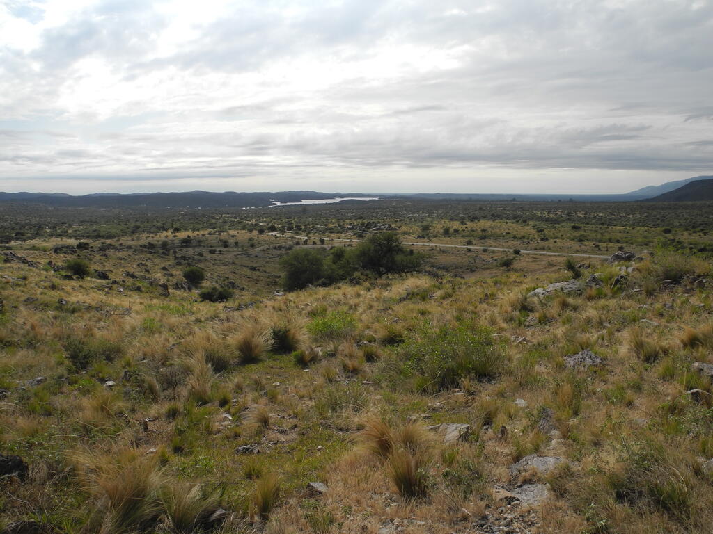 Landschaft an der RP9