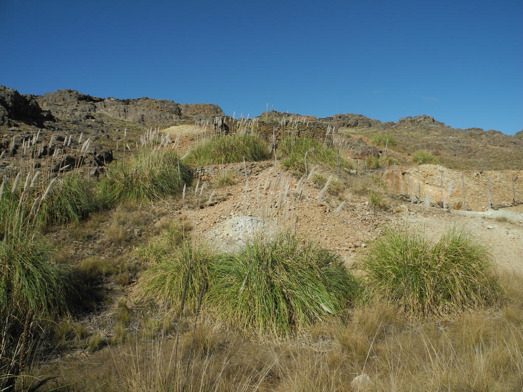 Alte Mine an der RP10