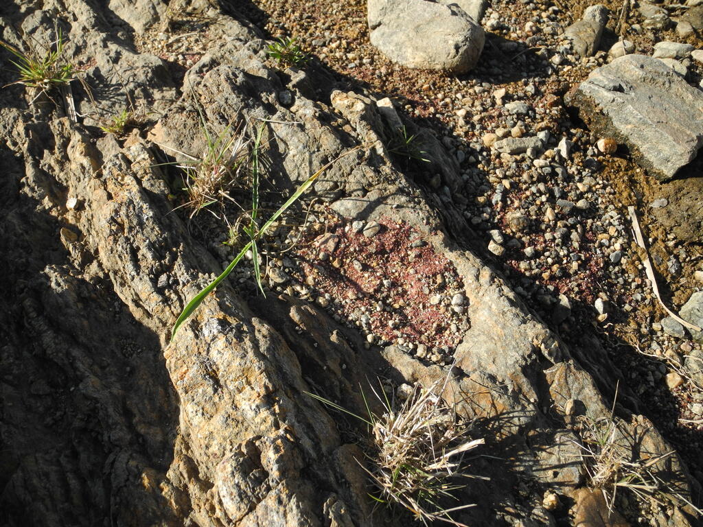 Granatsand an der Furt der RP37 bei La Arenilla